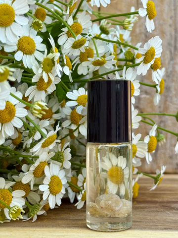 Golden Chamomile